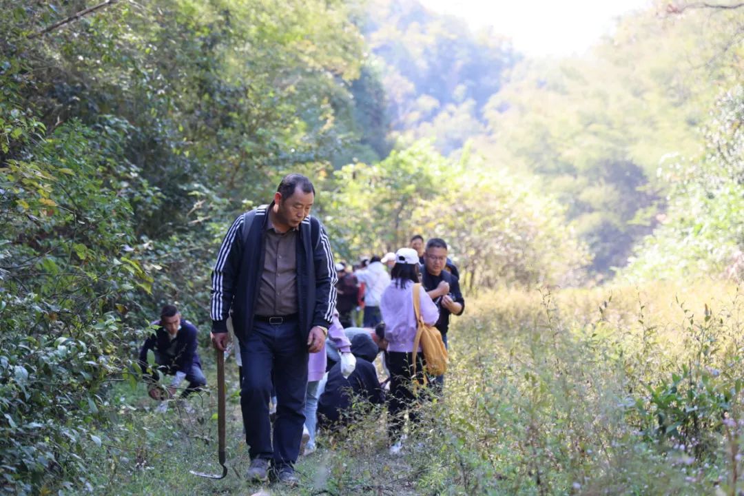 神農中醫館